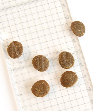 リリーズキッチン 成犬 エィンシャントグレイン農家のビーフシチュー