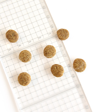 リリーズキッチン 成犬 オーガニックベイクドチキン&ベジタブル