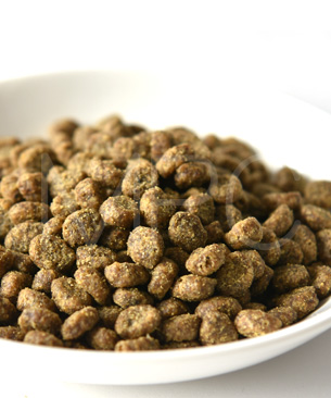 ナチュラルバランス CAT サーモン&チックピーフォーミュラ