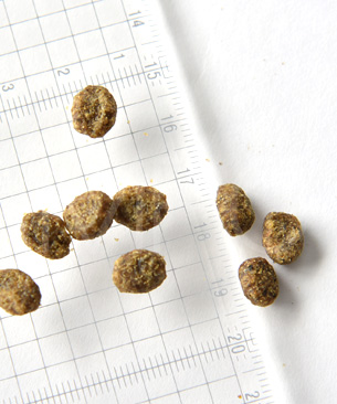 ナチュラルバランス CAT サーモン&チックピーフォーミュラ