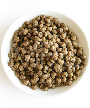 ナウフレッシュ　CAT　グレインフリー　アダルトキャット　お試しミニサイズ 50g