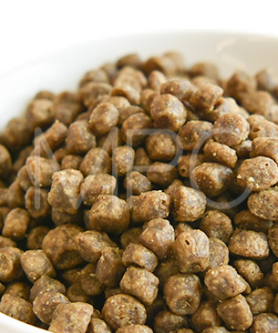 ナウフレッシュ　CAT　グレインフリー　アダルトキャット　お試しミニサイズ 50g