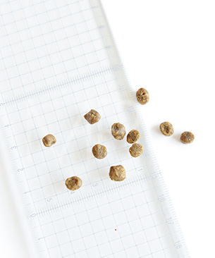 ナウフレッシュ　CAT　グレインフリー　アダルトキャット　お試しミニサイズ 50g