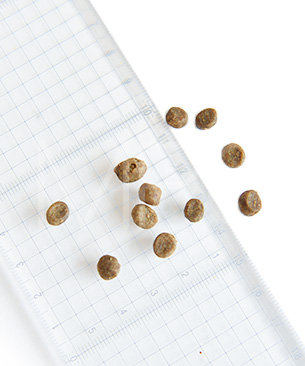 ナウフレッシュ グレインフリー フィッシュアダルトキャット