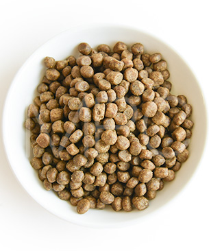 ナウフレッシュ グレインフリー フィッシュアダルトキャット