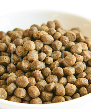 ナウフレッシュ グレインフリー フィッシュアダルトキャット