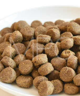 ナウフレッシュ グレインフリー パピー