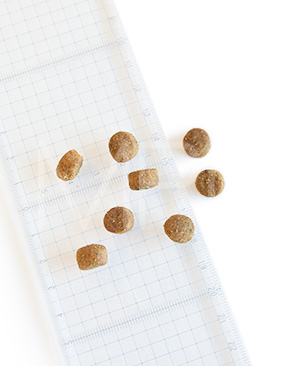 ナウフレッシュ グレインフリー パピー