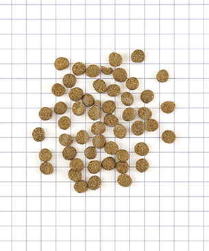 ナチュラルハーベスト スキン&コート 100g