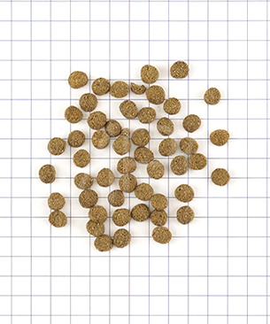 ナチュラルハーベスト レジームスモール ラム 100g