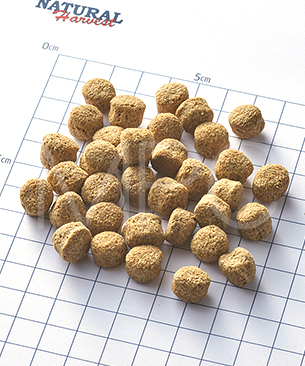 ナチュラルハーベスト レジーム チキン 1.1kg (大粒タイプ)