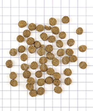 ナチュラルハーベスト レジームスモール ラム 50g