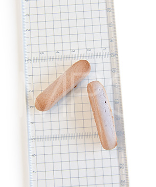 ナチュラルハーベスト フェカリスビスケット ベリーベリー