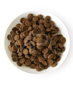 ニュートライプ CAT ビーフ&チキン with グリーントライプ