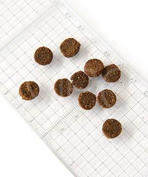 ニュートライプ CAT ビーフ&チキン with グリーントライプ