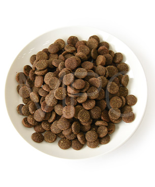 ニュートライプ DOG ラム&サーモン with グリーントライプ