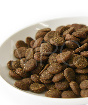 ニュートライプ DOG ラム&サーモン with グリーントライプ