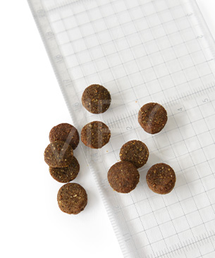 ニュートライプ DOG ラム&サーモン with グリーントライプ