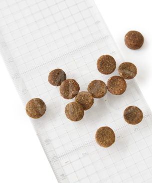 ニュートライプ DOG ビーフ&サーモン with グリーントライプ