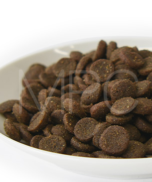 ニュートライプ DOG サーモン&フィッシュ with グリーントライプ