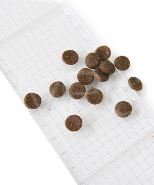 ニュートライプ DOG サーモン&フィッシュ with グリーントライプ