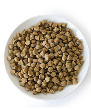 オーブンベークドトラディション CAT アダルトフィッシュ