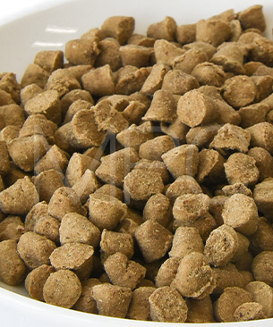 オーブンベークドトラディション CAT アダルトフィッシュ