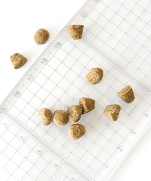 オーブンベークドトラディション CAT アダルトフィッシュ