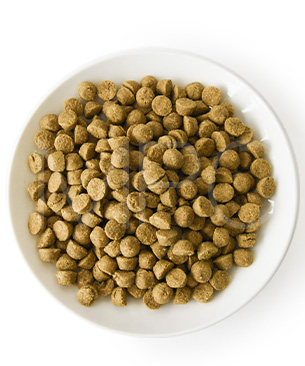 オーブンベークドトラディション DOG アダルトフィッシュ