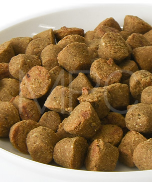 オーブンベークドトラディション DOG セミモイスト アダルト