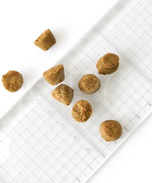 オーブンベークドトラディション DOG セミモイスト アダルトフィッシュ