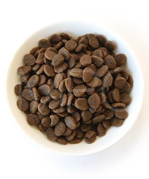 オリジン CAT オリジナルキャット