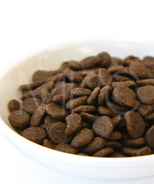 オリジン CAT オリジナルキャット