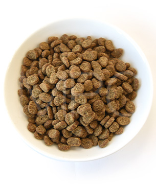 オリジン CAT ガーディアン8