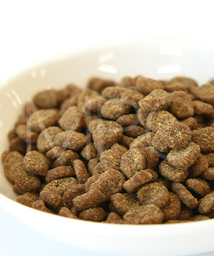 オリジン CAT ガーディアン8