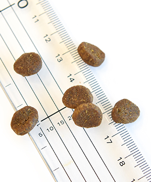 オリジン　パピー