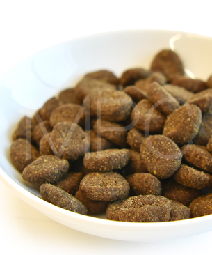 オリジン　レジオナルレッド　ドッグ