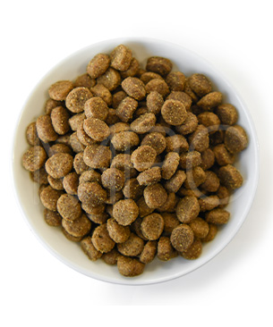 ペットカインド DOG グリーンビーフトライプ SAP 小粒