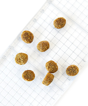 ペットカインド DOG グリーンビーフトライプ SAP 小粒