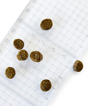 ペットカインド DOG ウェイトマネージメント ラムトライプ SAP 小粒