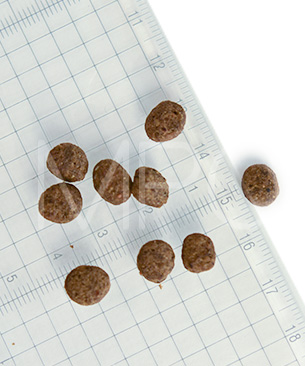 POCHI【数量限定品】ザ･ドッグフード ベーシック ワイルドサーモン 1kg