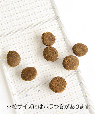 POCHI【特別価格品】ザ･ドッグフード ベーシック 3種のポルトリー ミディアムラージ粒 2.7kg