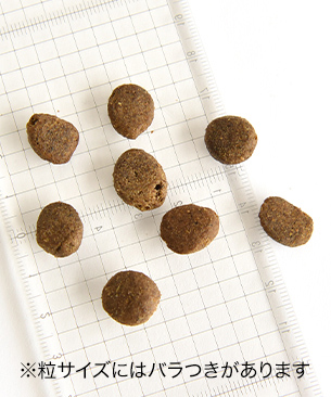 POCHI【特別価格品】ザ･ドッグフード ベーシック ワイルドサーモン ミディアムラージ粒 2.7kg