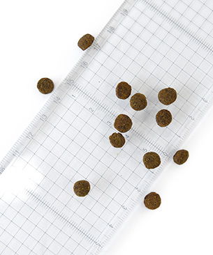 POCHI【特別価格品】ザ･ドッグフード エイジングケアシニア 3種のポルトリー 1kg