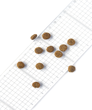 POCHI【特別価格品】食事療法食 消化器ケア 低脂肪フレッシュターキー 50g