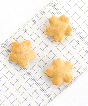 POCHI　ローカロリークラッカー　アロニア　40g エコパッケージ