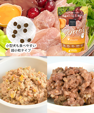 POCHI 初回限定 はじめてボックス シニア