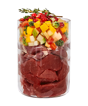 テラカニス マーケットラグー 鹿肉＆チキン 385g