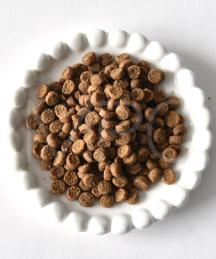 ウェルネス コア 穀物不使用 子猫用 骨抜き七面鳥