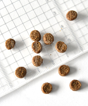 ウェルネス コア 穀物不使用 子猫用 骨抜き七面鳥